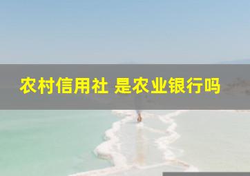 农村信用社 是农业银行吗